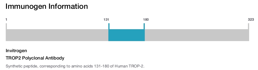 TROP2 Polyclonal Antibody