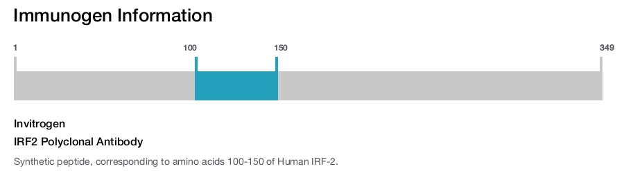 IRF2 Polyclonal Antibody