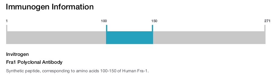 Fra1 Polyclonal Antibody