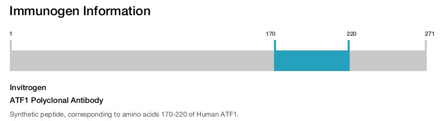 ATF1 Polyclonal Antibody