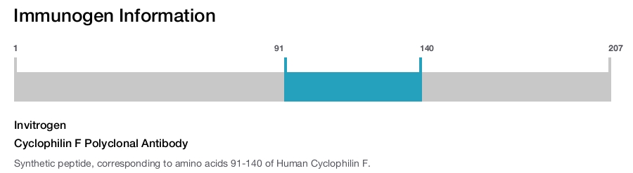 Cyclophilin F Polyclonal Antibody