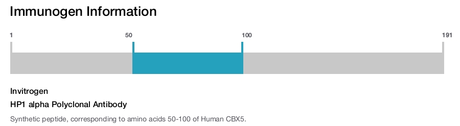 HP1 alpha Polyclonal Antibody