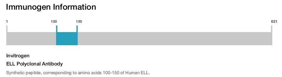 ELL Polyclonal Antibody