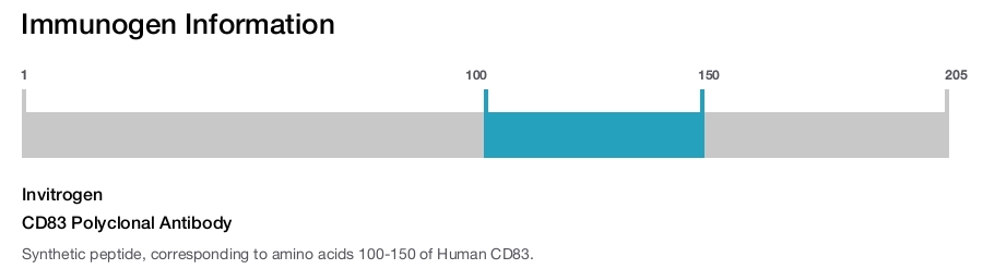 CD83 Polyclonal Antibody