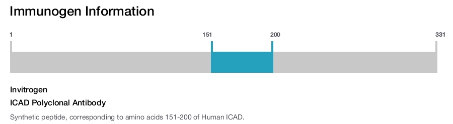 ICAD Polyclonal Antibody