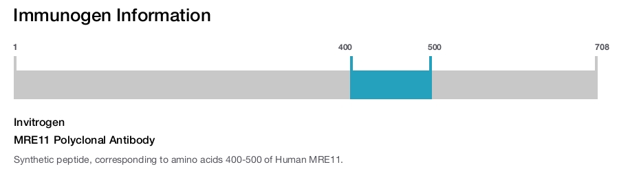 MRE11 Polyclonal Antibody