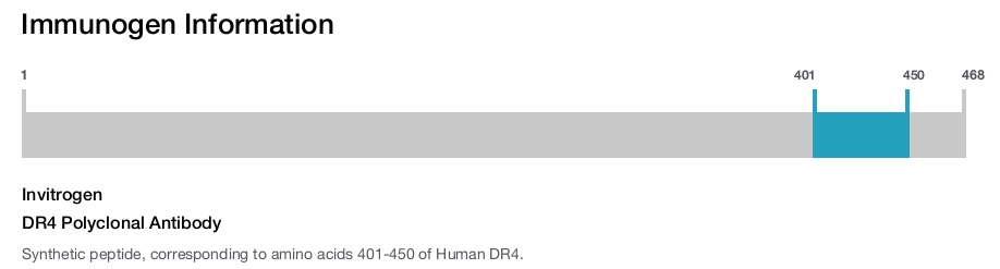 DR4 Polyclonal Antibody