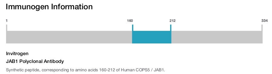 JAB1 Polyclonal Antibody