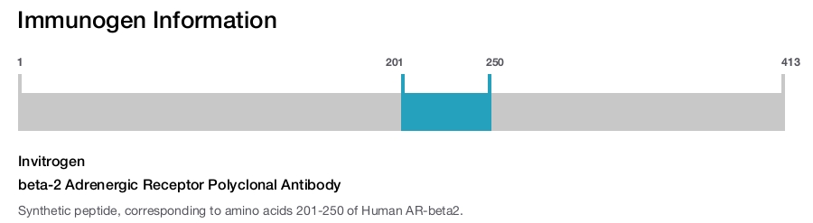 beta-2 Adrenergic Receptor Polyclonal Antibody
