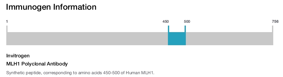 MLH1 Polyclonal Antibody