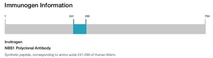 NBS1 Polyclonal Antibody