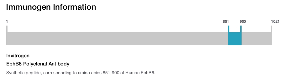 EphB6 Polyclonal Antibody