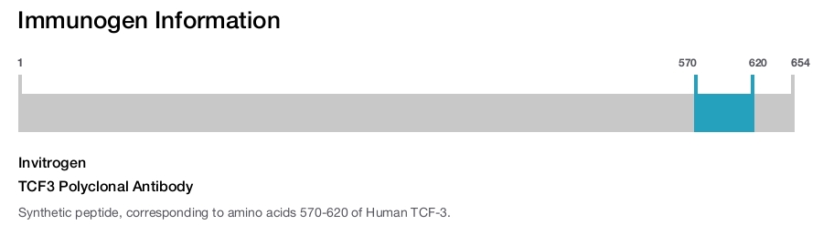 TCF3 Polyclonal Antibody