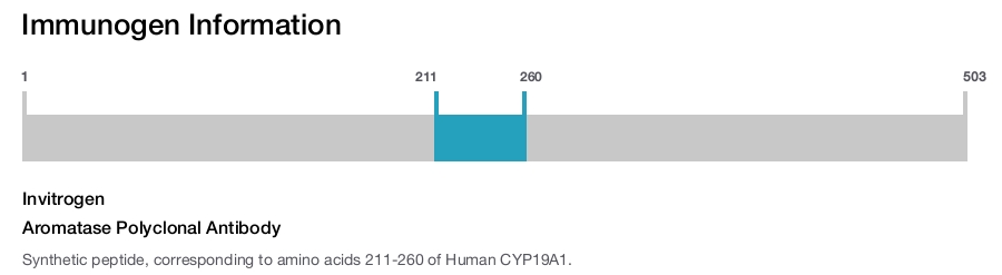 Aromatase Polyclonal Antibody