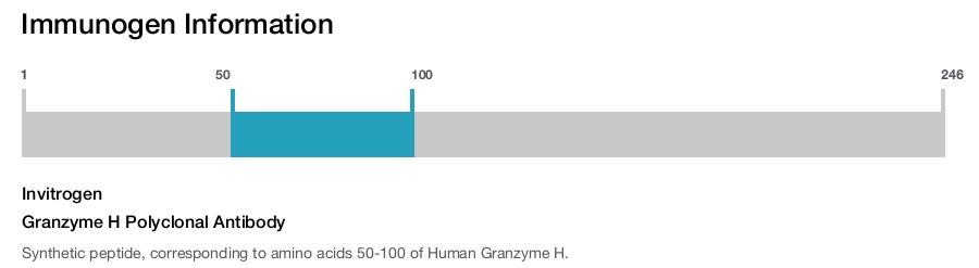 Granzyme H Polyclonal Antibody