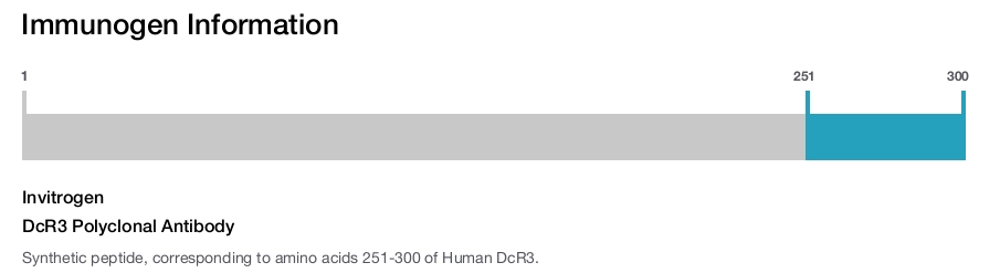 DcR3 Polyclonal Antibody