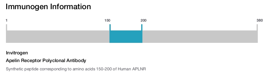 Apelin Receptor Polyclonal Antibody