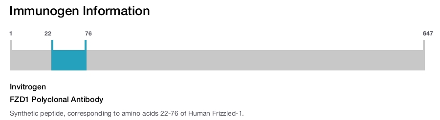 FZD1 Polyclonal Antibody