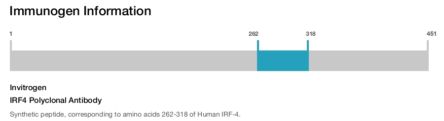 IRF4 Polyclonal Antibody