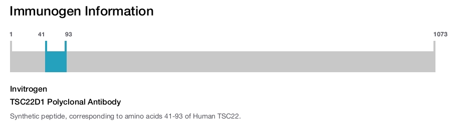 TSC22D1 Polyclonal Antibody