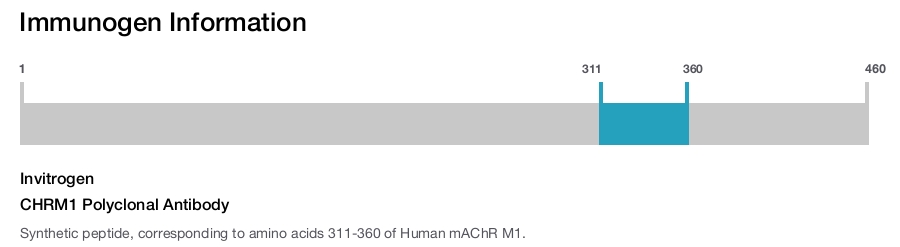 CHRM1 Polyclonal Antibody