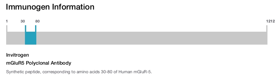 mGluR5 Polyclonal Antibody