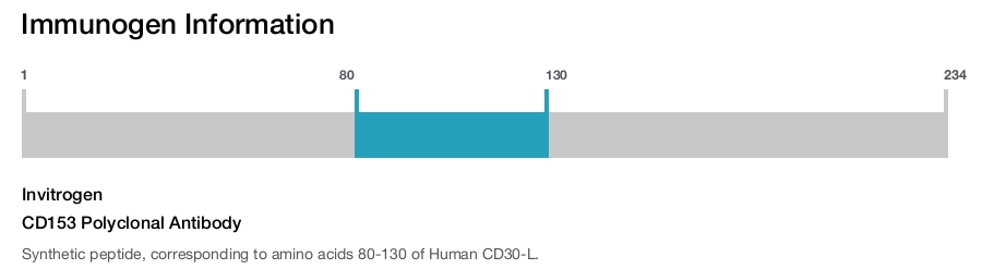 CD153 Polyclonal Antibody
