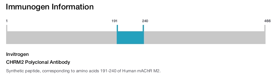 CHRM2 Polyclonal Antibody