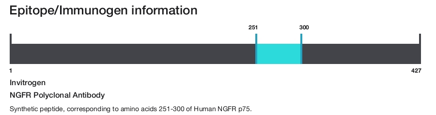NGFR Polyclonal Antibody