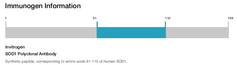 SOD1 Polyclonal Antibody