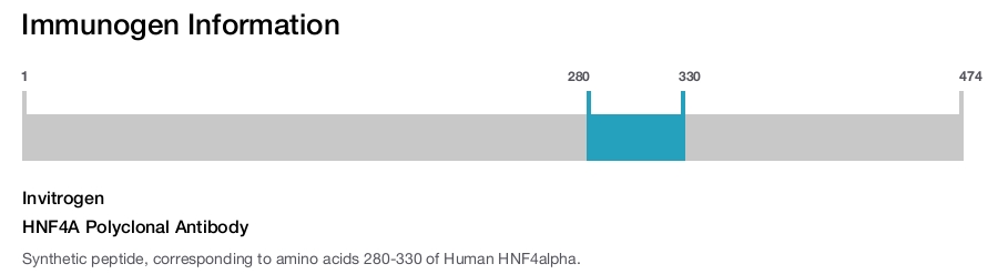 HNF4A Polyclonal Antibody