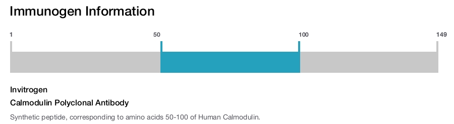 Calmodulin Polyclonal Antibody