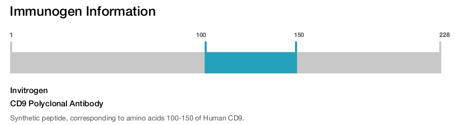 CD9 Polyclonal Antibody