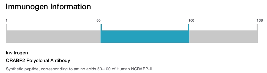 CRABP2 Polyclonal Antibody