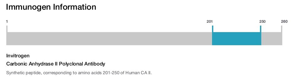 Carbonic Anhydrase II Polyclonal Antibody