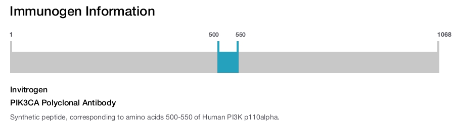 PIK3CA Polyclonal Antibody