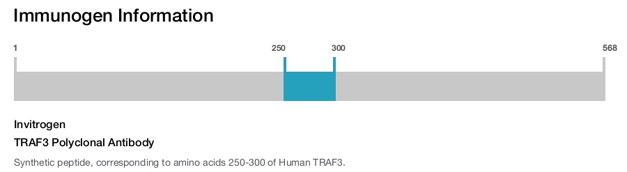 TRAF3 Polyclonal Antibody