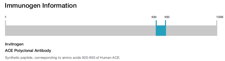 ACE Polyclonal Antibody