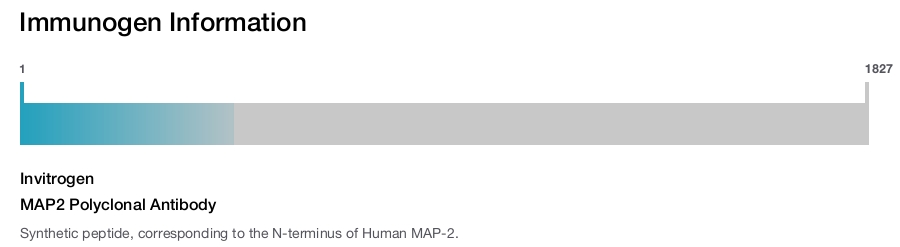 MAP2 Polyclonal Antibody