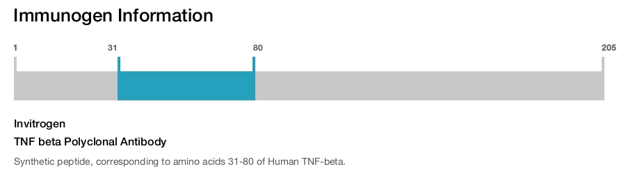 TNF beta Polyclonal Antibody