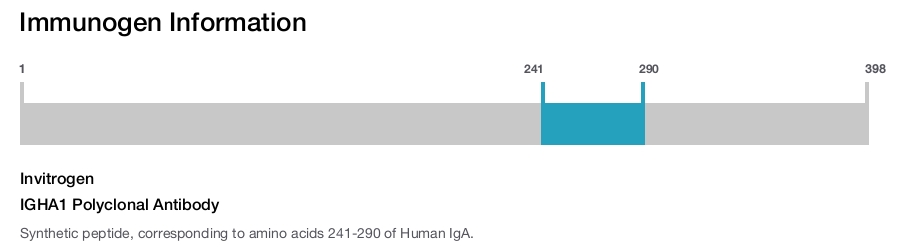 IGHA1 Polyclonal Antibody