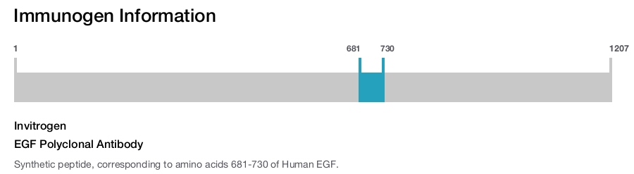 EGF Polyclonal Antibody