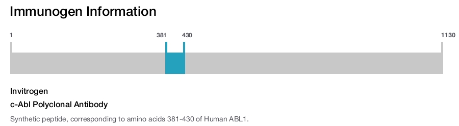 c-Abl Polyclonal Antibody