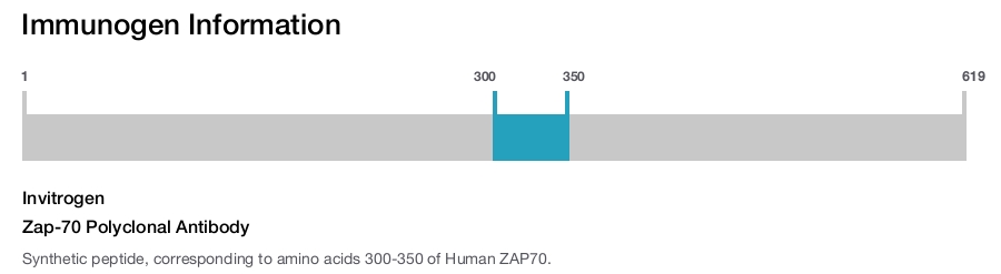 Zap-70 Polyclonal Antibody