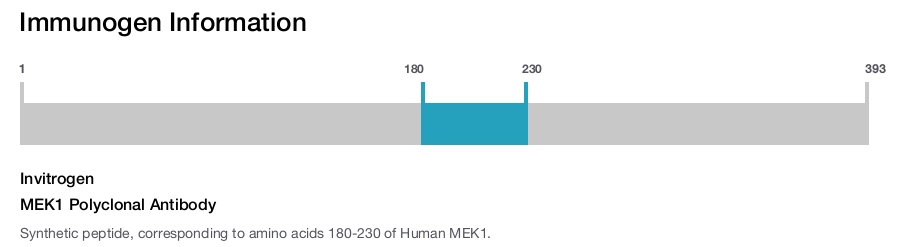 MEK1 Polyclonal Antibody