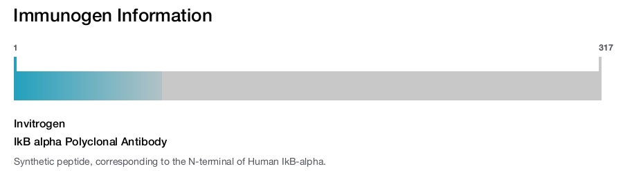 IkB alpha Polyclonal Antibody