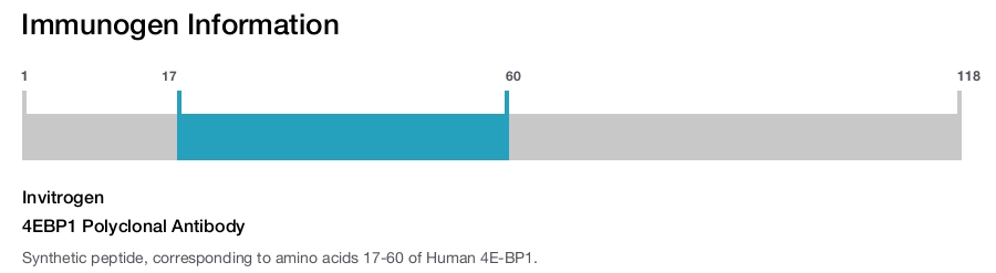 4EBP1 Polyclonal Antibody