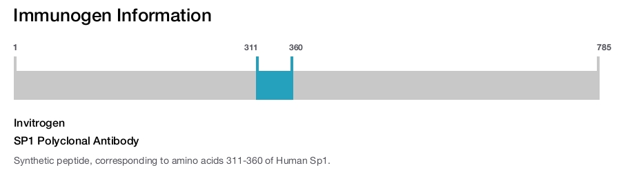 SP1 Polyclonal Antibody