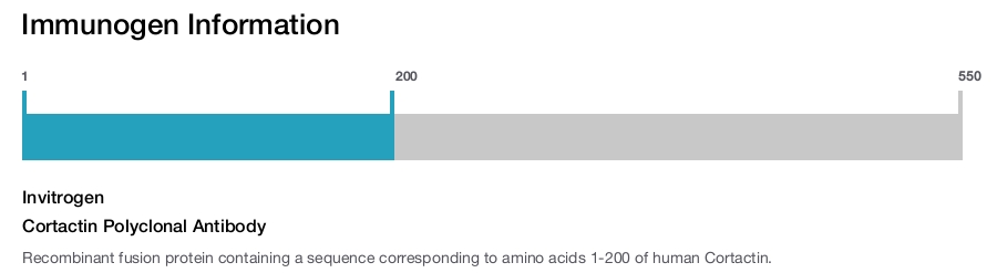 Cortactin Polyclonal Antibody