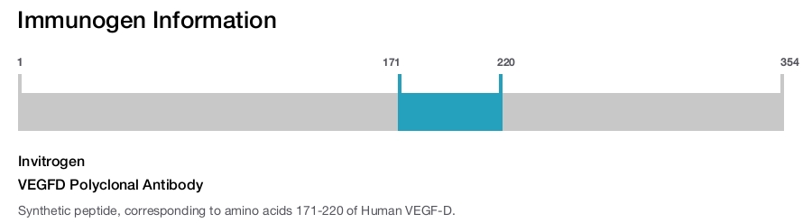 VEGFD Polyclonal Antibody
